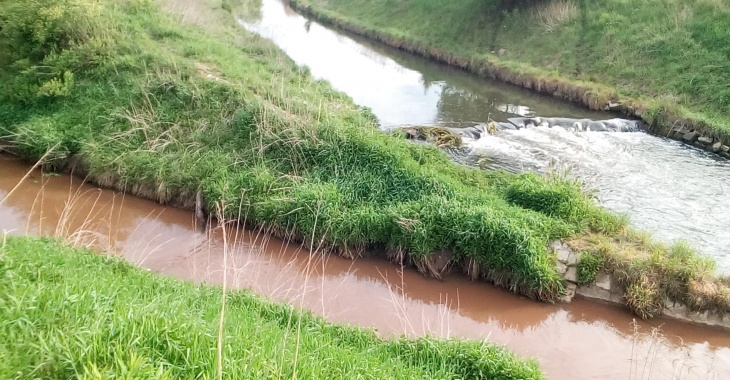 Pożar nielegalnego składowiska odpadów chemicznych w Siemianowicach Śląskich – interwencja w sprawie skażenia wód